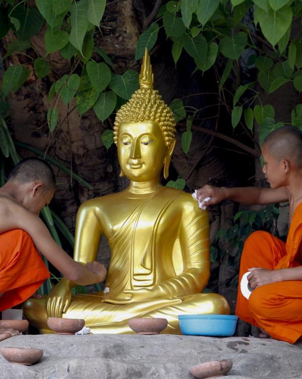 13289.w599.deb035f.9d276d7