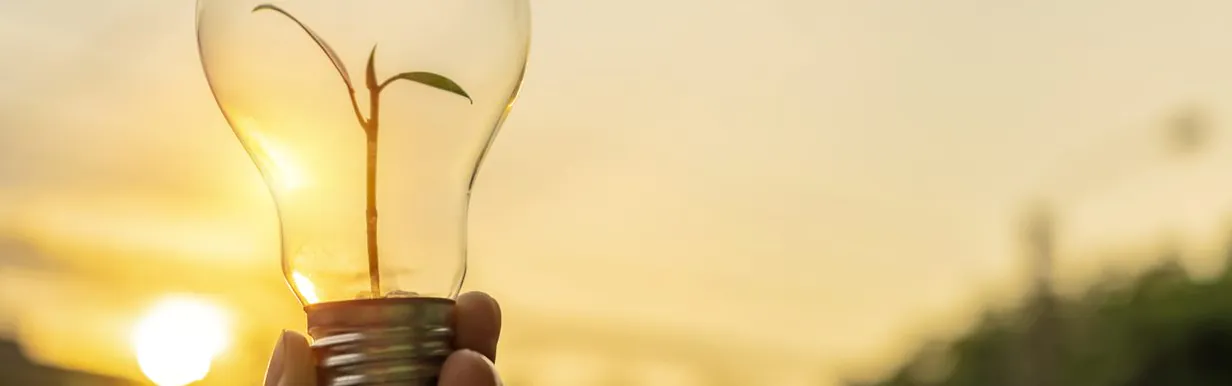 Natuurlijk licht vs Kunstlicht 1