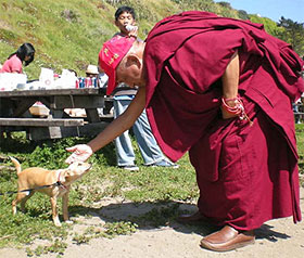 Hebben Boeddhisten Tempels? Ontdek de Spirituele Betekenis 9 lama zopa rinpochee zegent puppie
